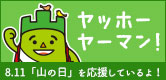ヤッホーヤーマン！ヤーマンのサイト