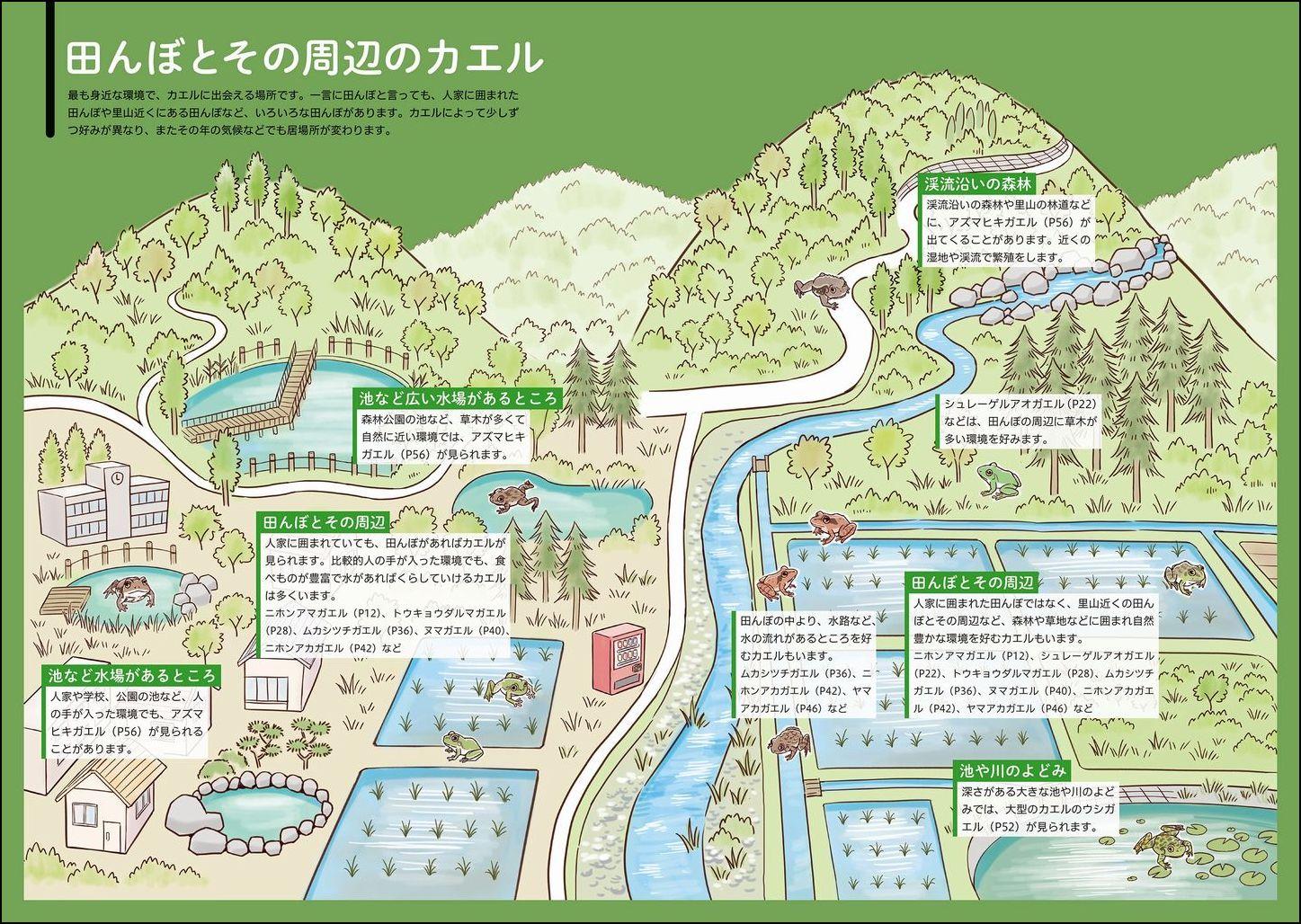 20250318_kaerunomitsukekata_02.jpg