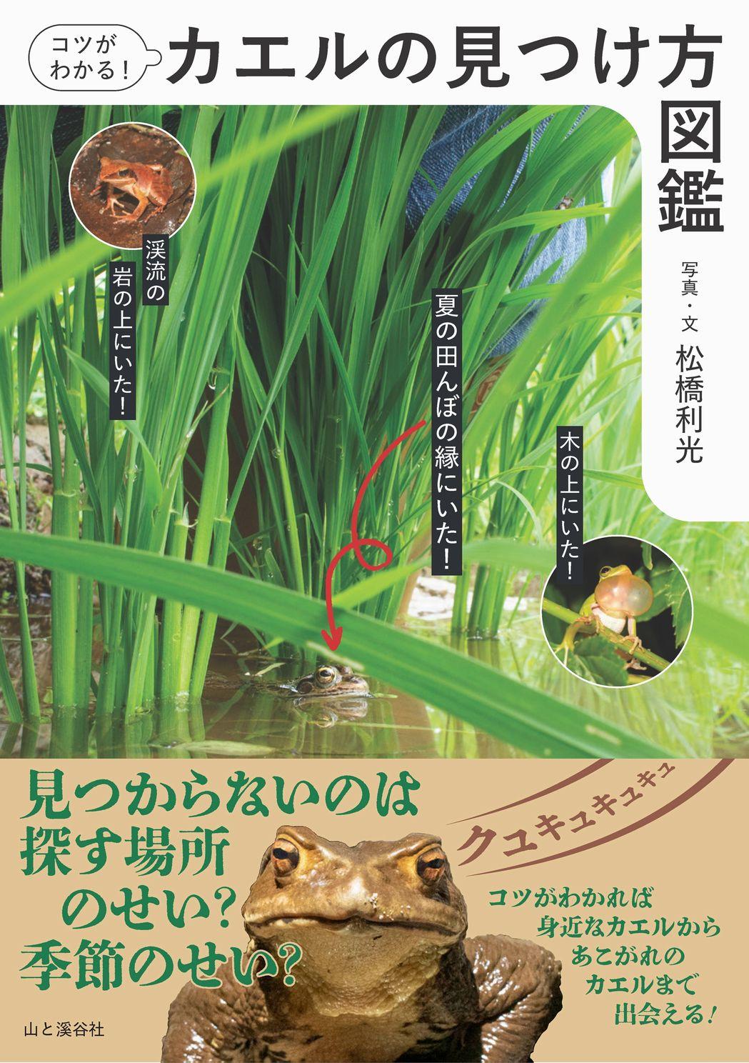 20250318_kaerunomitsukekata_01.jpg