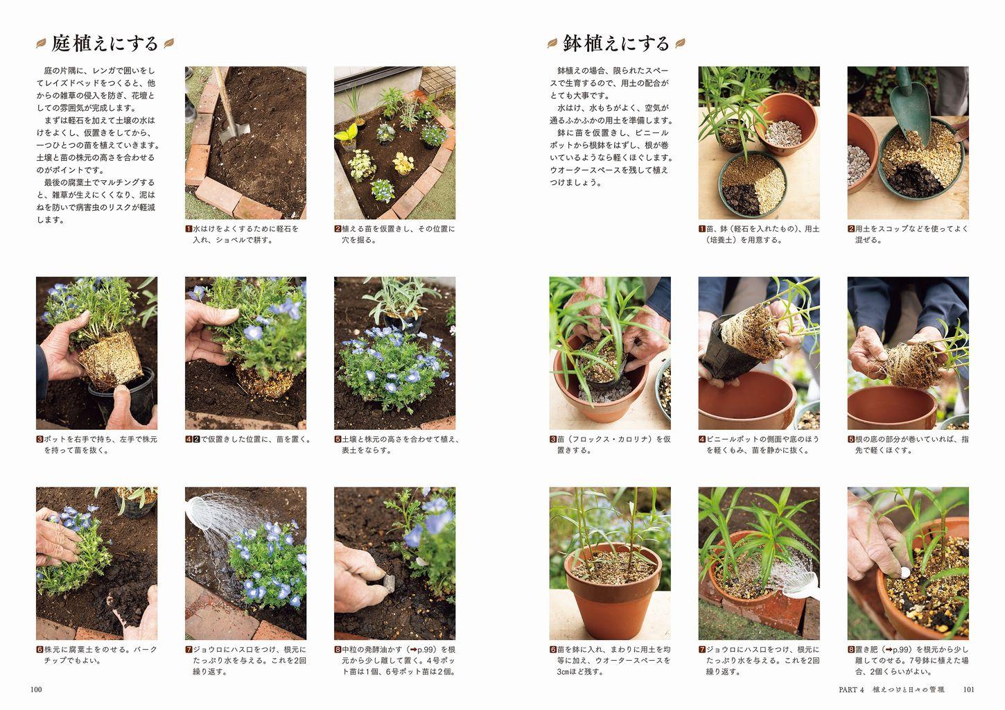 20250326_hanaippaichisananiwadukuri_04.jpg