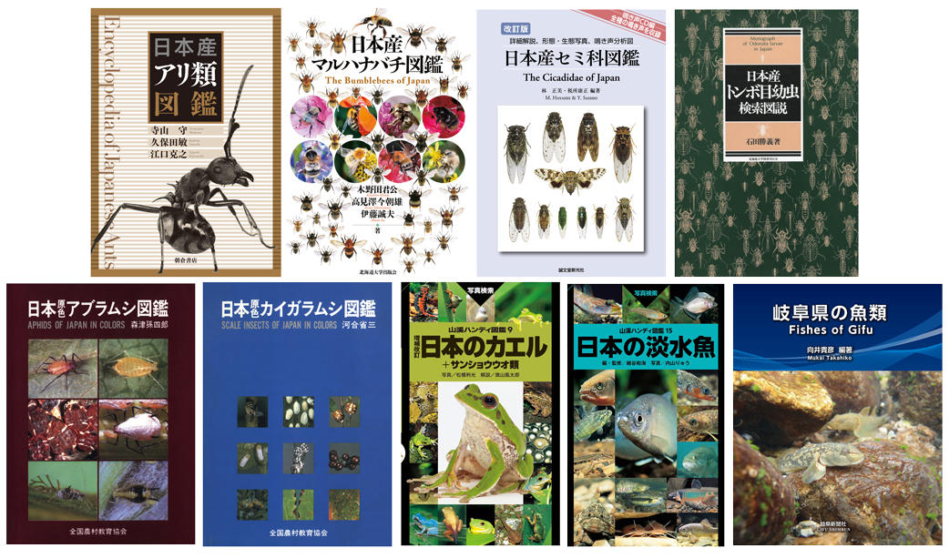 生物専門図鑑の読み放題サイト「図鑑.jp」、昆虫コース・その他 生物専門図鑑の読み放題サイト「図鑑.jp」、昆虫コース・その他
