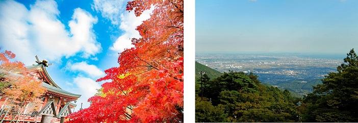 yamaooyamasyasin_アートボード 1.jpg