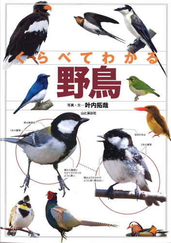似た生き物同士をくらべて見分ける！『くらべてわかる野鳥』『くらべて