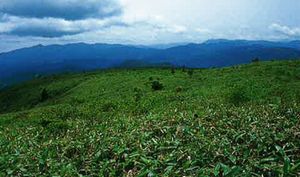 十方山山頂近くの登山道とその後方に羅漢山、吉和冠山、寂地山が連なる写真