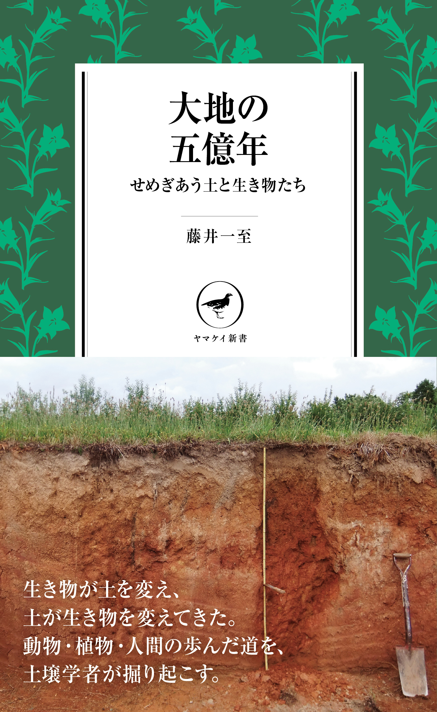 生き物たちの行動を 土 から理解するための一冊 ヤマケイ新書 大地の五億年 せめぎあう土と生き物たち 発売 山と溪谷社 新着情報 山と溪谷社 生き物たちの行動を 土 から理解するための一冊 ヤマケイ新書 大地の五億年 せめぎあう土と生き物たち 発売 山と溪谷社 新着情報 山と溪谷社