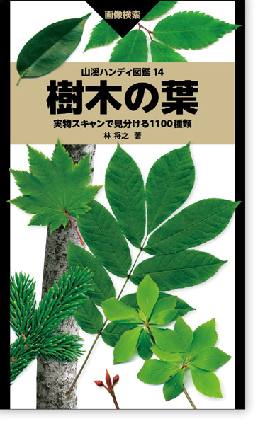 野生から植栽まで 北海道 九州で見られるほとんどの樹木を網羅した葉っぱ大図鑑 4000点以上の画像を使用し 約1100種類の樹木の見分け方を徹底解説 山と溪谷社 新着情報 山と溪谷社 野生から植栽まで 北海道 九州で見られるほとんどの樹木を網羅した葉っぱ大図鑑 4000点以上の画像を使用し 約1100種類の樹木の見分け方を徹底解説 山と溪谷社 新着情報 山と溪谷社