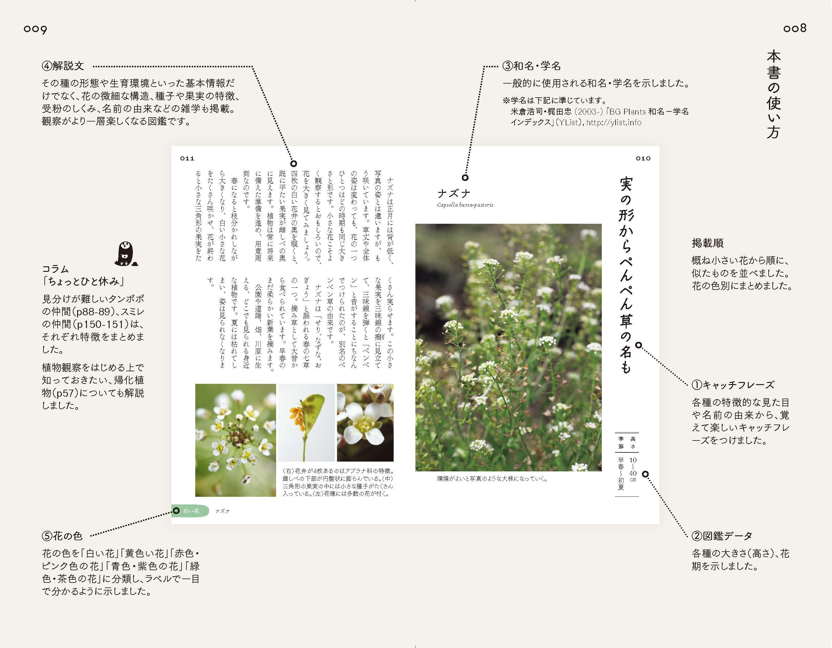 市街地で出会える 身近な雑草の花100種を選抜 散歩道の図鑑 あした出会える雑草の花100 で あしたの散歩が 今日よりもっと楽しくなる 山と溪谷社 新着情報 山と溪谷社