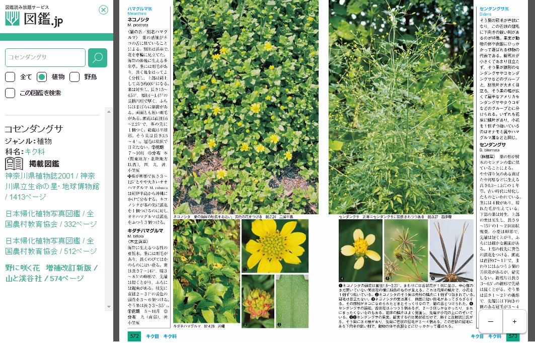 生物専門図鑑の読み放題サイト 図鑑 Jp オープン 出版社とユーザでつくる究極の図鑑 植物 野鳥2ジャンルから 山と溪谷社 新着情報 山と溪谷社