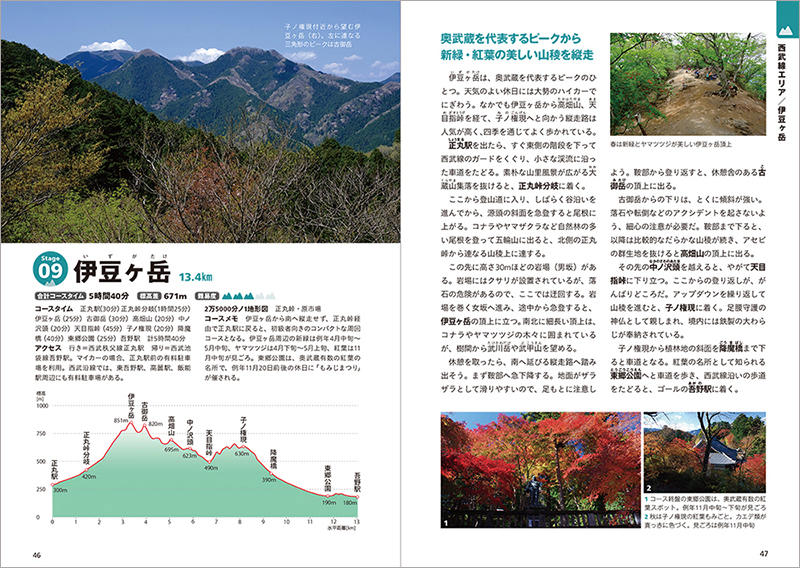 東京周辺遊園地ガイド 楽しく遊べる５１施設の詳細情報 改訂第３版/山と渓谷社/山と渓谷社