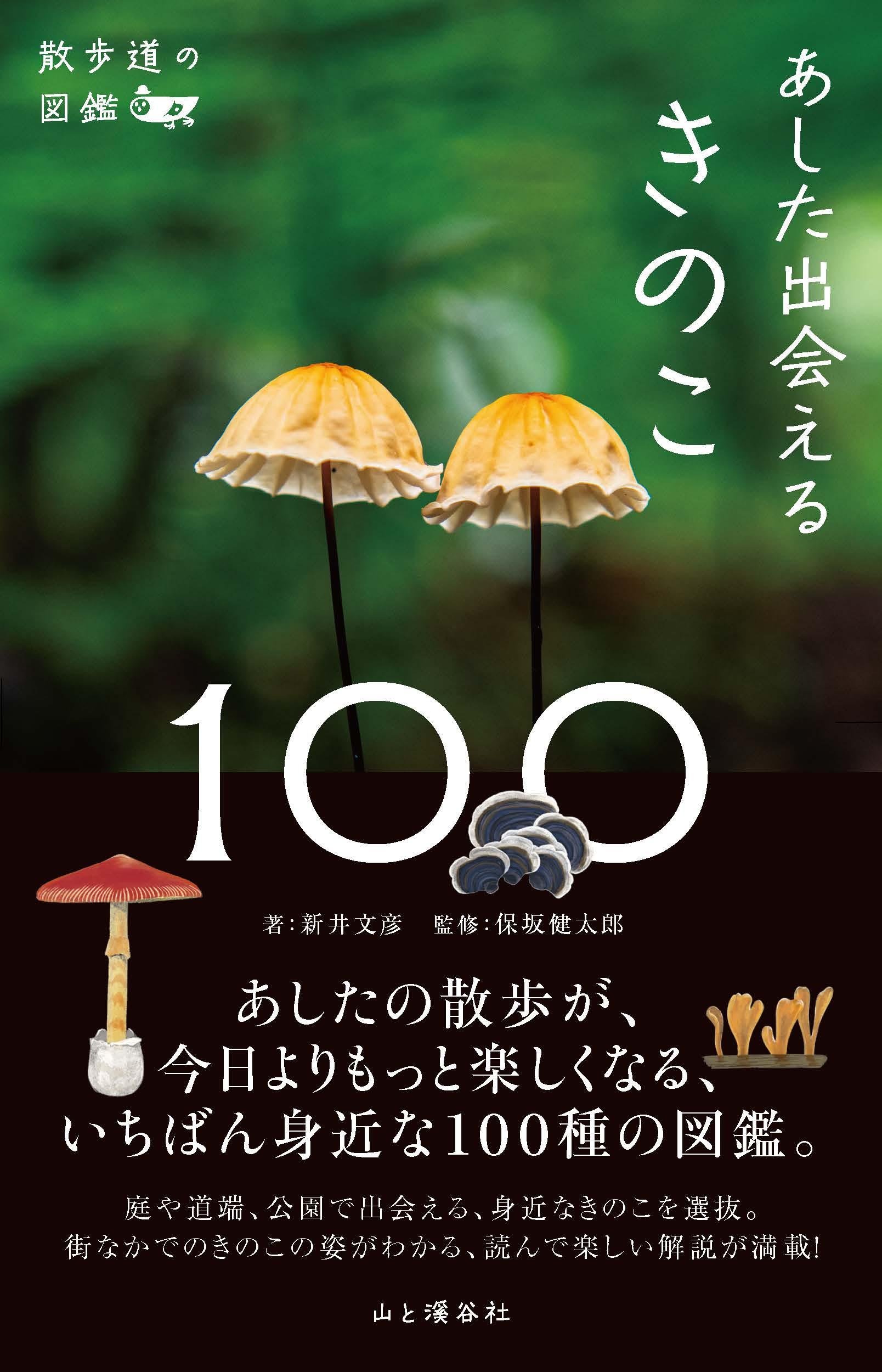 20220617_kinoko_01.jpg