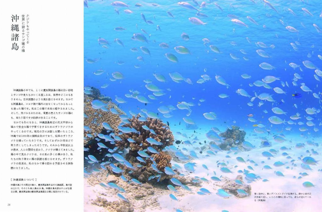 20220812_nihonnoumi_02.jpg