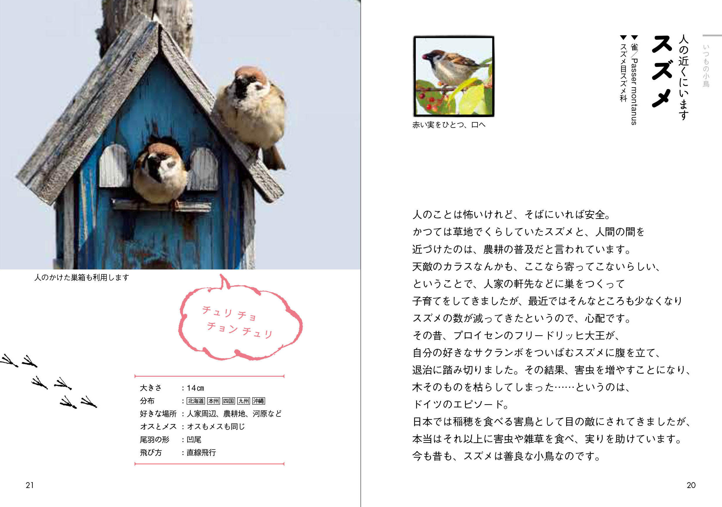 たまごの本 (はじめての発見 50) | ルネ メトレ, 手塚 千史 |本