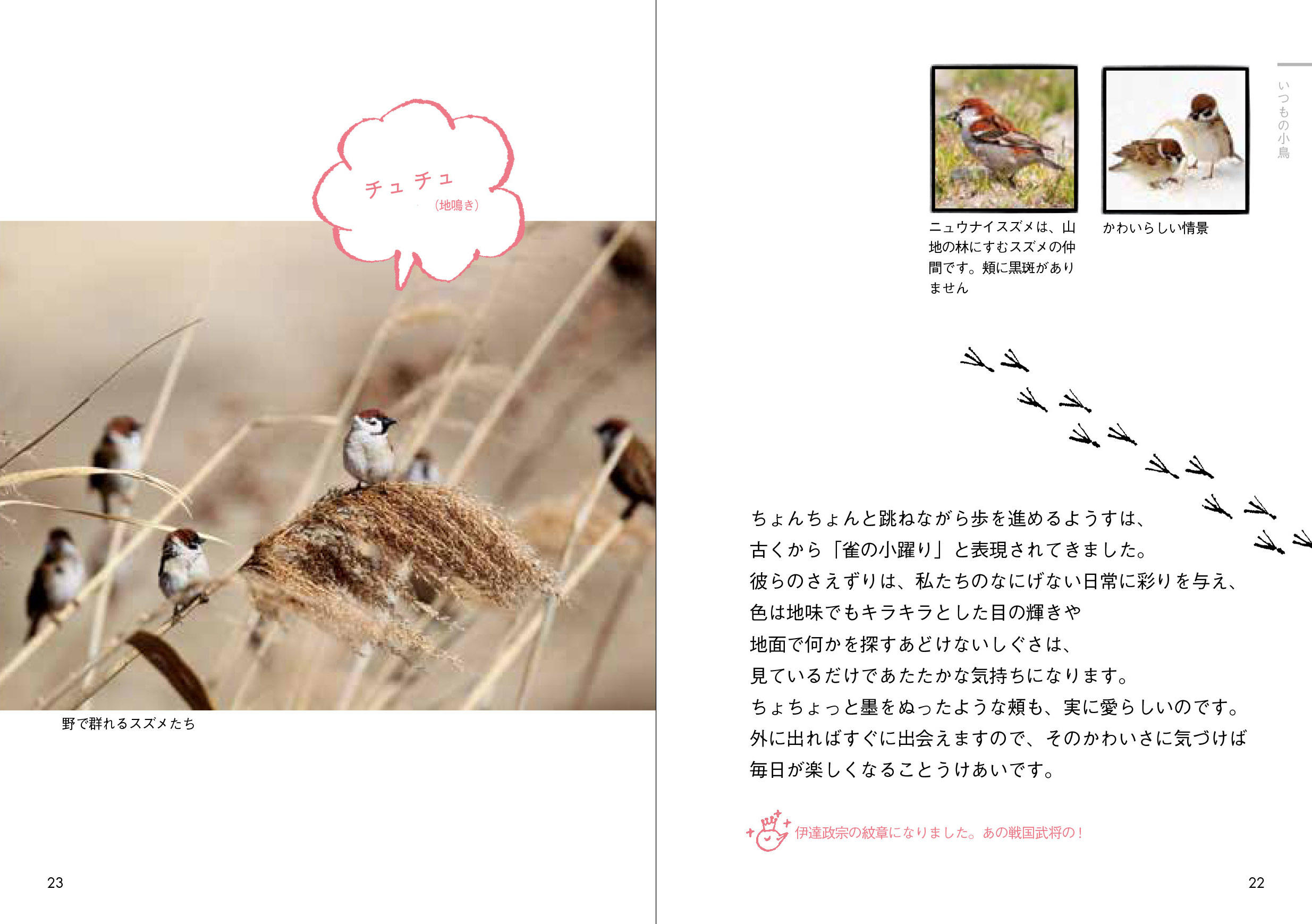 ときめきと出会い、楽しみ、学ぶためのポケットサイズの図鑑