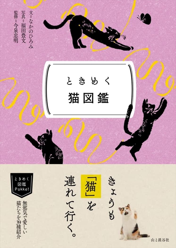 小川真生樹 尾関諒 神山貴彦 中嶋典宏「Chapter 2」 | OLL KORRECT