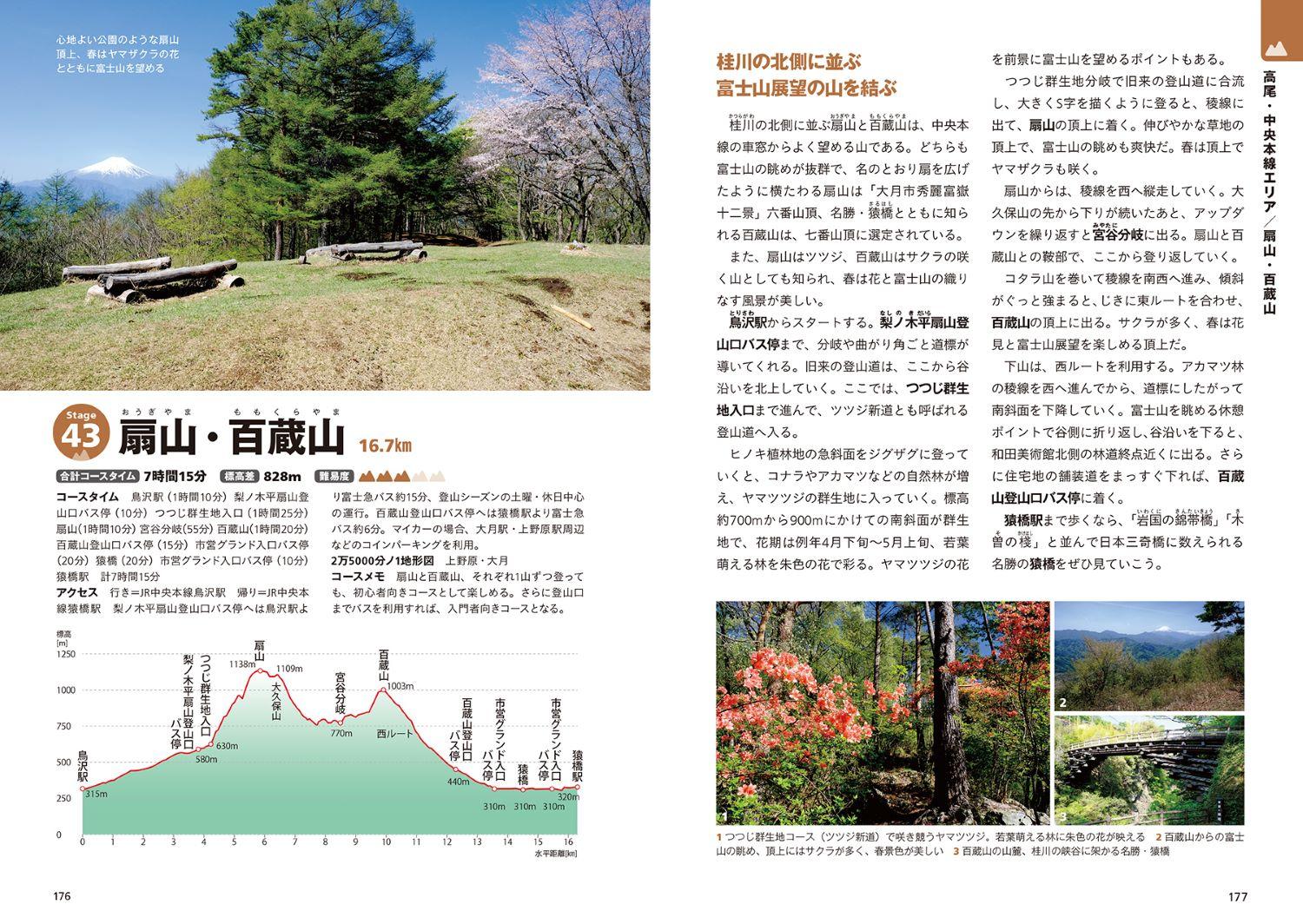 20230406_okutamatakao02.jpg