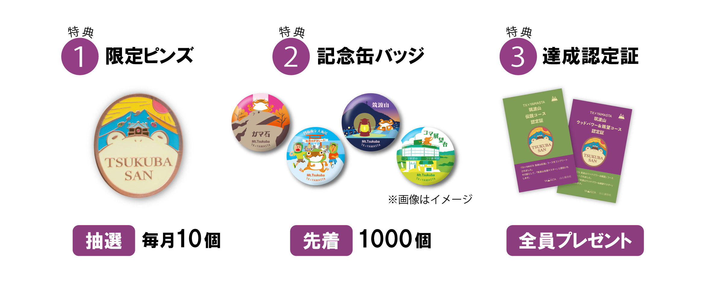 Amazon.co.jp: ヤマスタ スタンプラリー コンプリート 17個