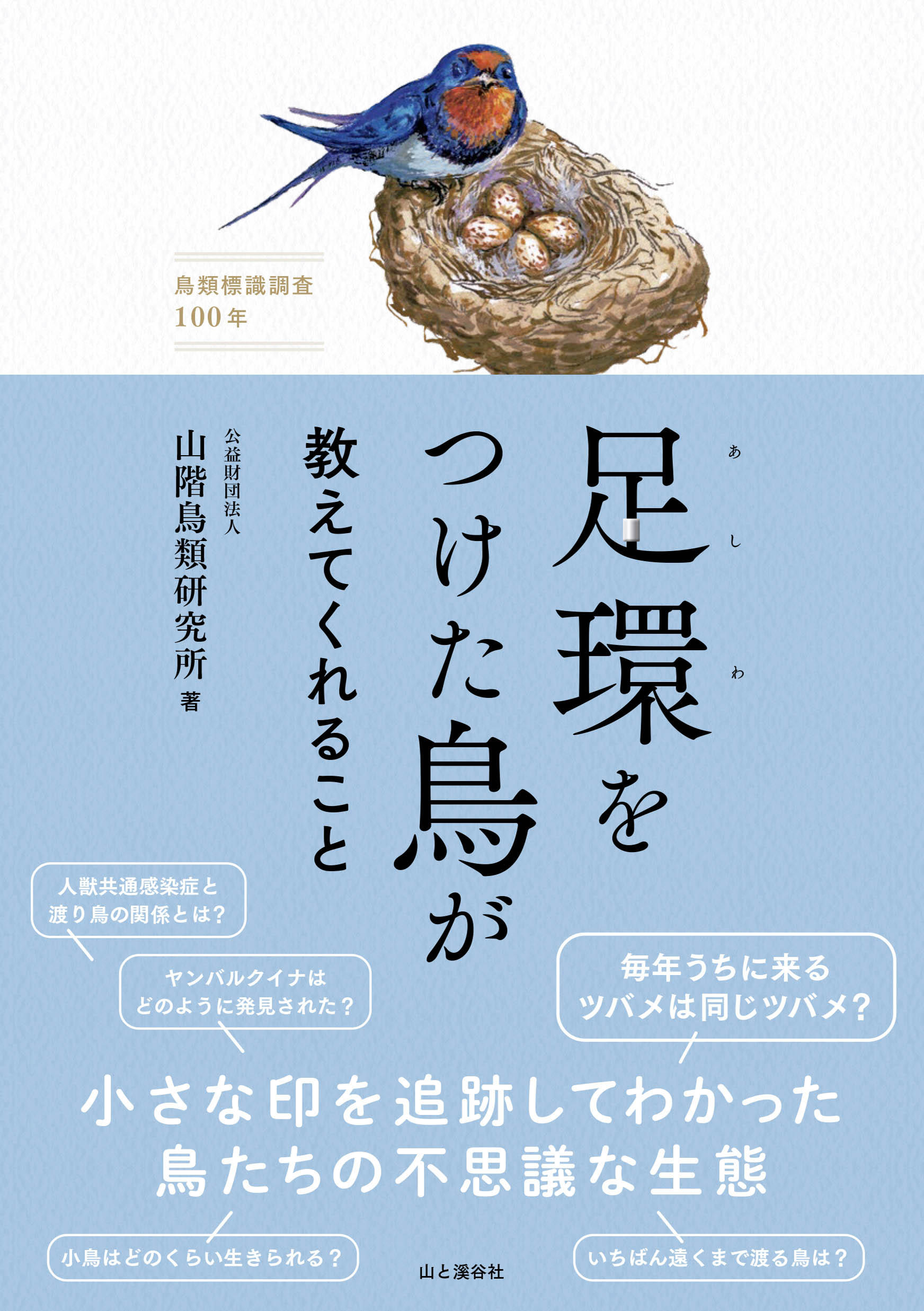 毎年来るツバメは同じツバメか」「スズメの数が減っている」など