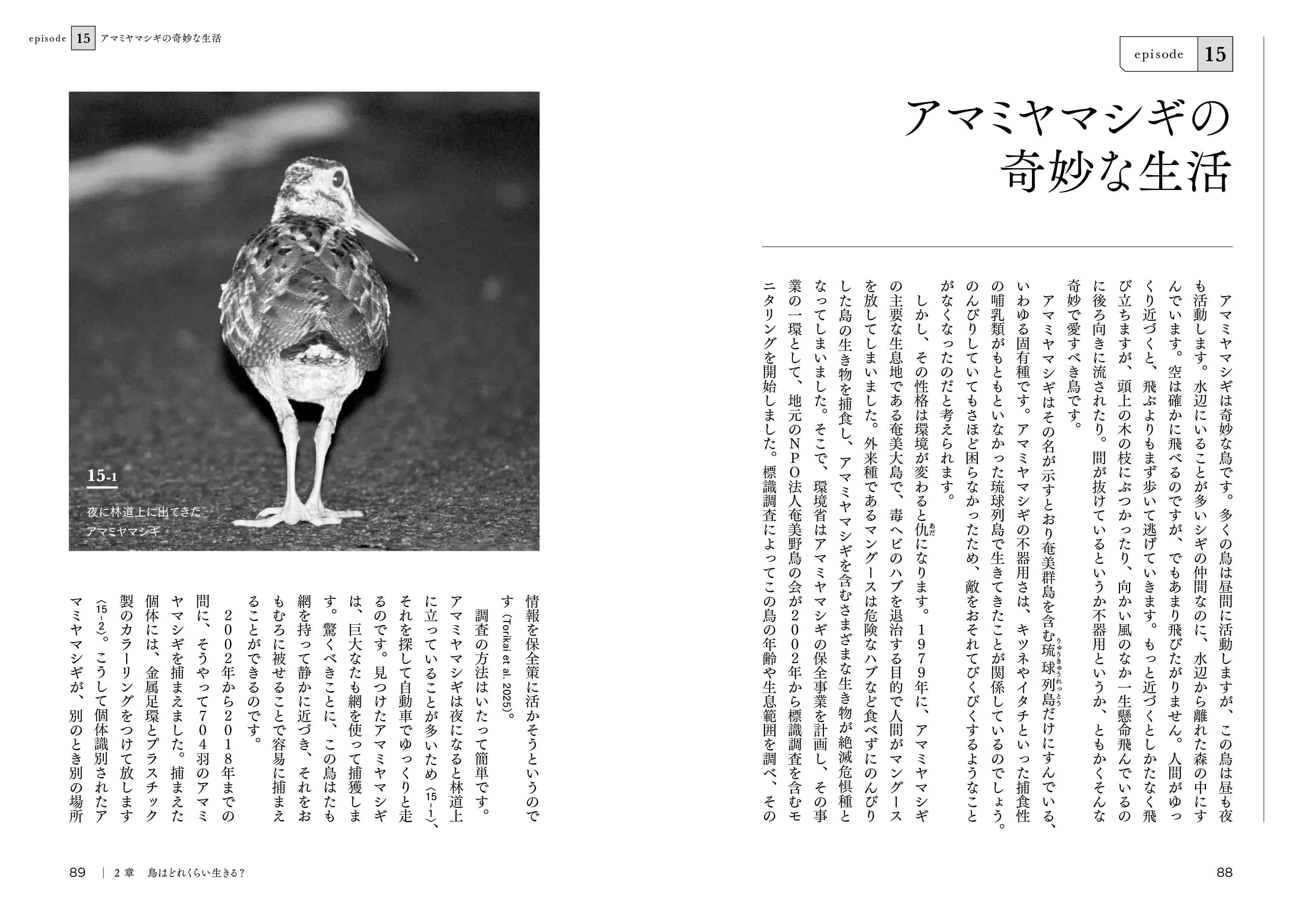 Amazon.co.jp: 環境庁特定鳥類等調査1973-1976/環境庁特殊鳥類