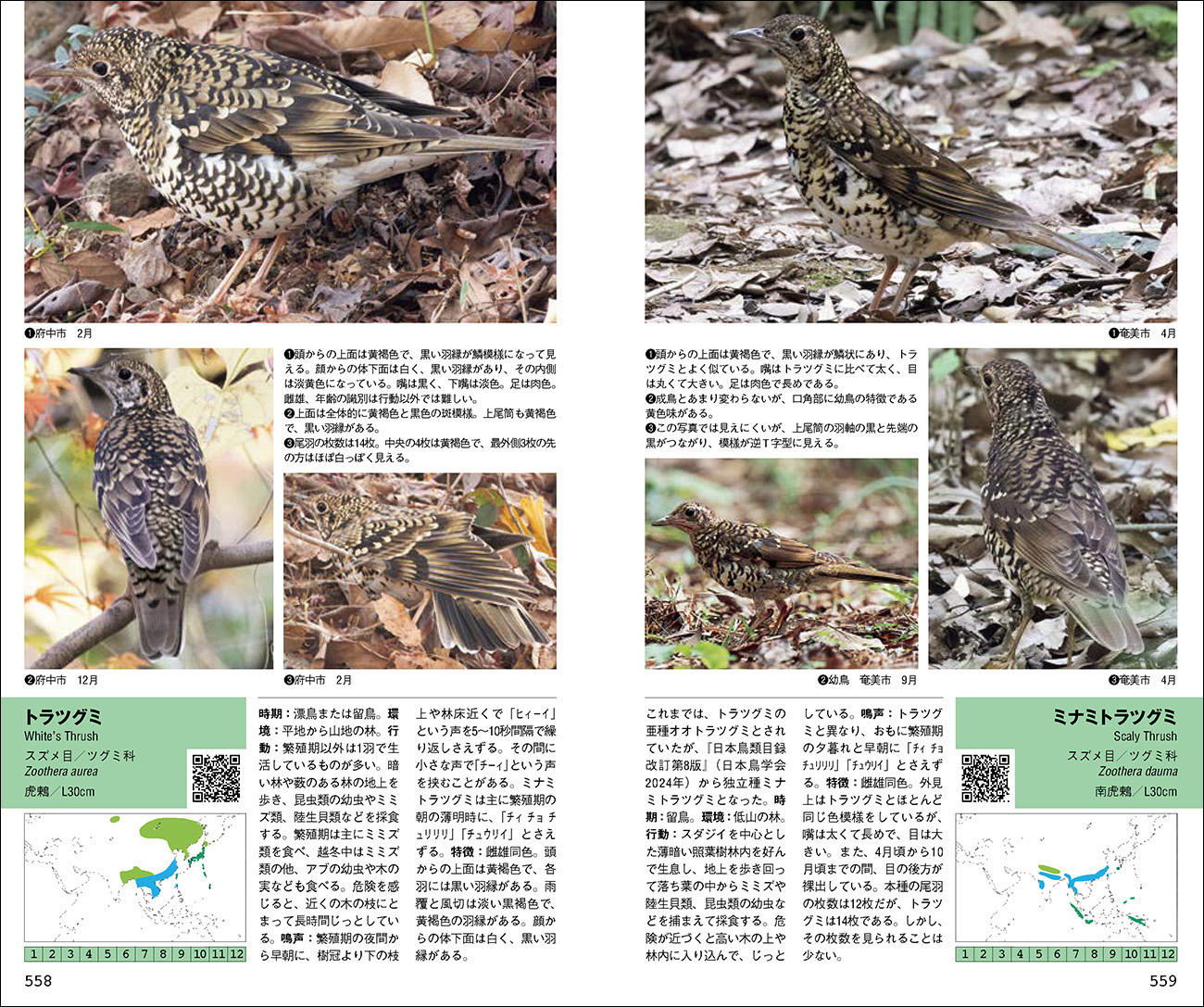 四半世紀を超えて愛用される山溪ハンディ図鑑『日本の野鳥』が