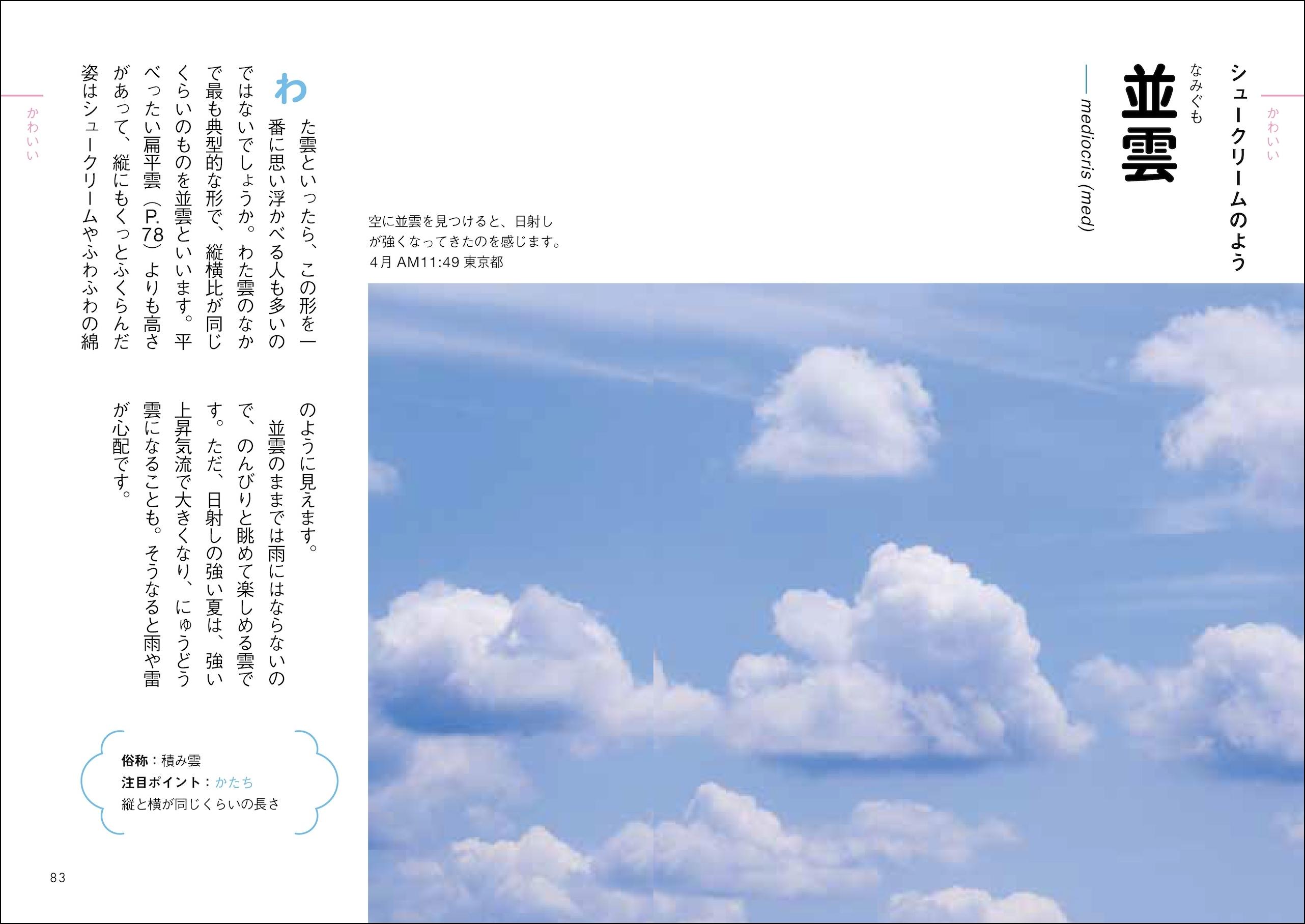 20250312_tokimekukumo_03.jpg