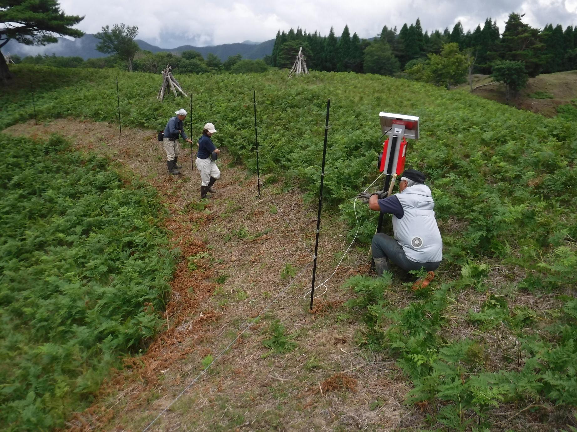 20250620_sangakuisan_03.jpg