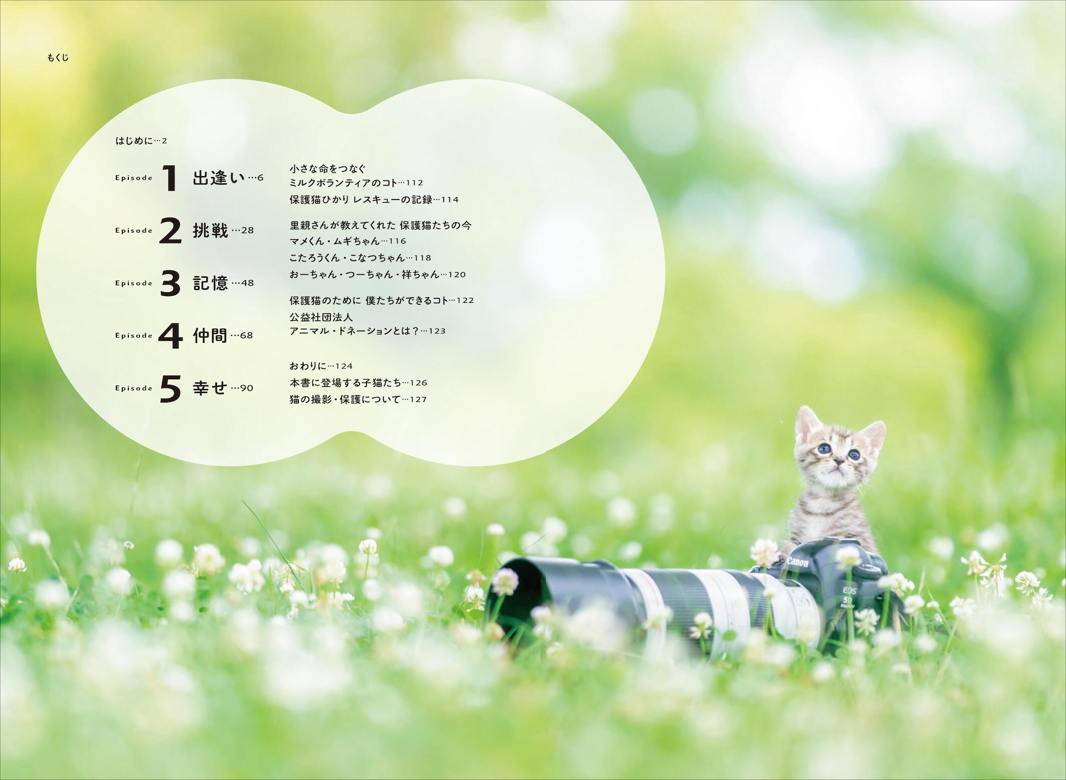 20260513_hidamarinoashiato_03.jpg