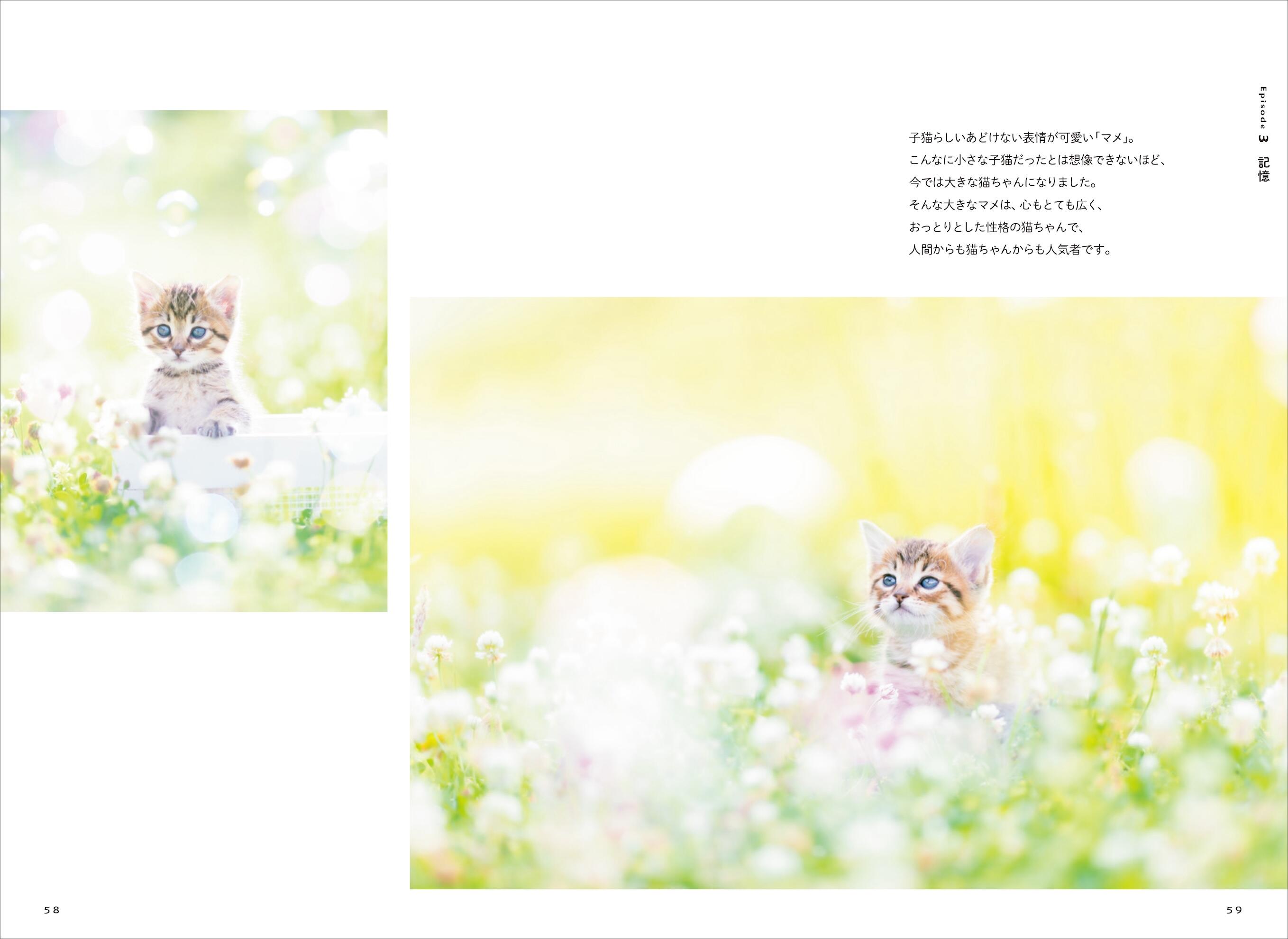 20260513_hidamarinoashiato_05.jpg