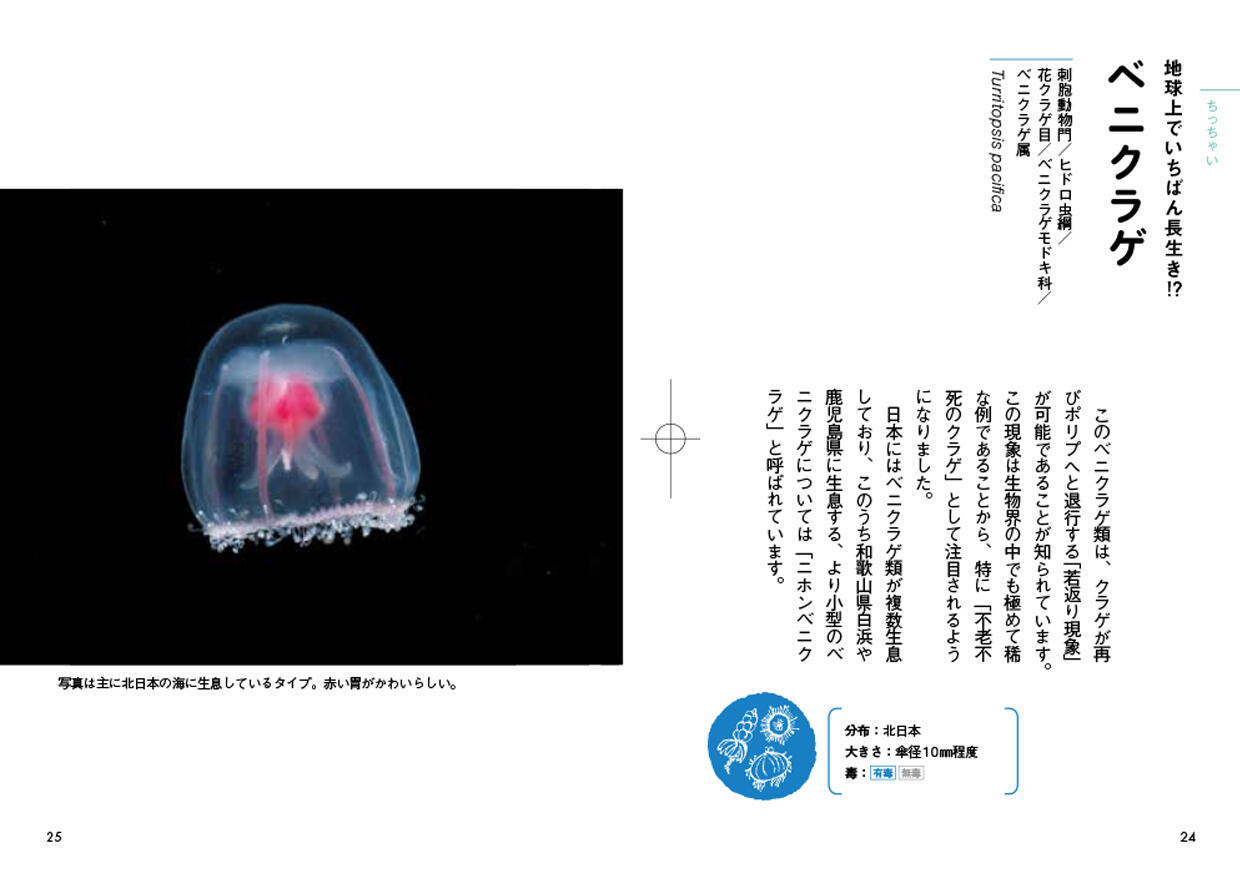 20260602_tokimekuPokke_06.jpg