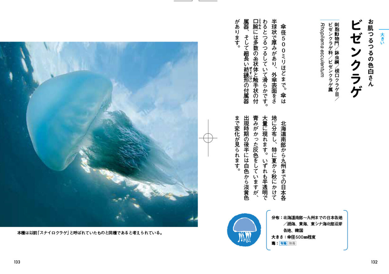 20260602_tokimekuPokke_07.jpg