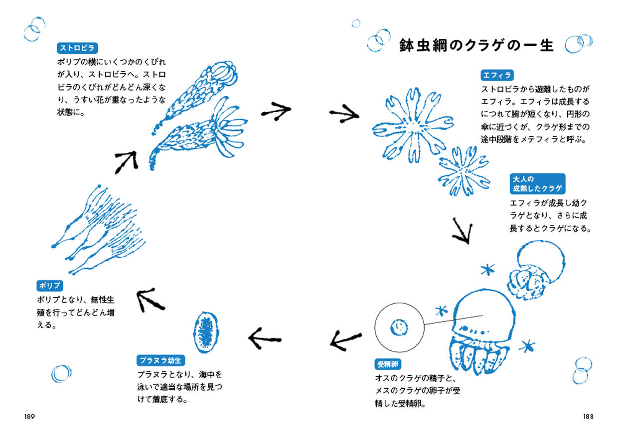 20260602_tokimekuPokke_08.jpg