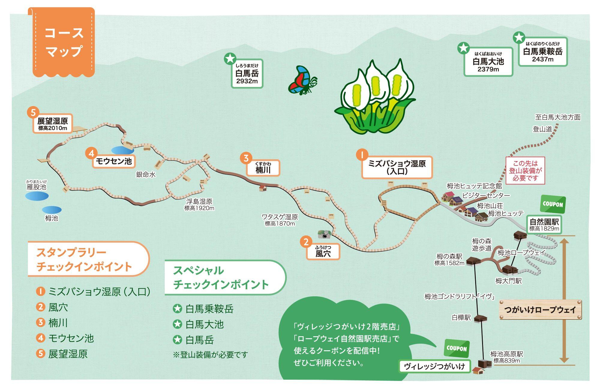 20260619_yamasta_tsugaike_03.jpg