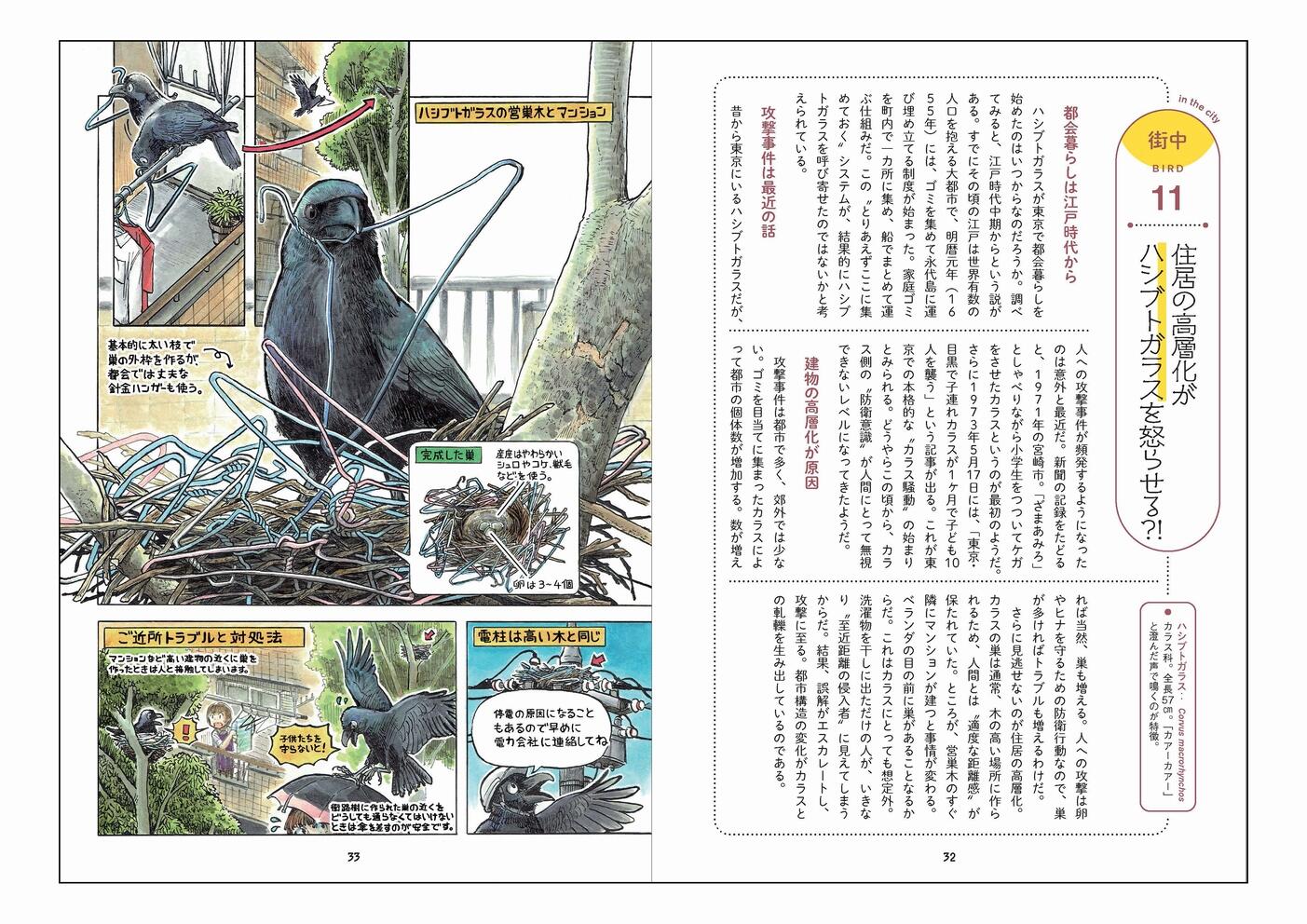 20260626_birdwatching_03.jpg