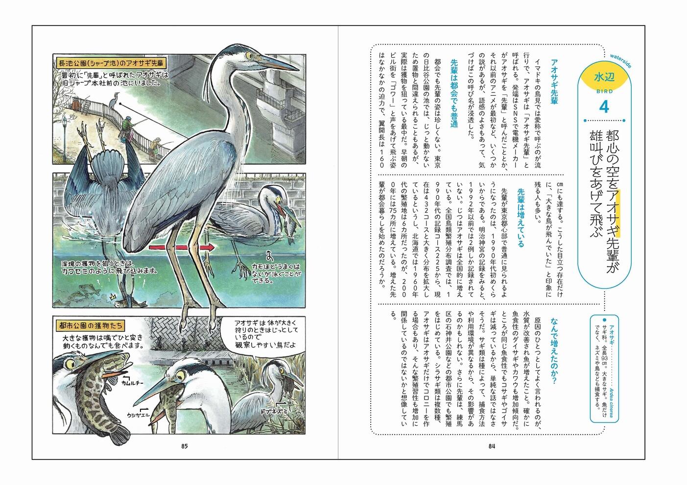 20260626_birdwatching_04.jpg