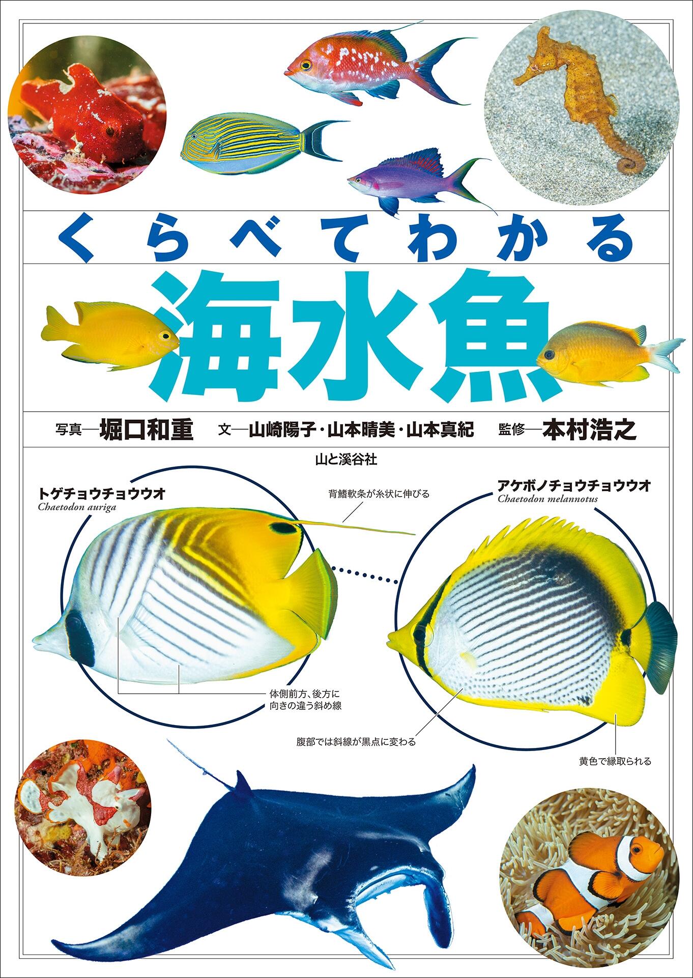 20260707_kurabetewakarukaisuigyo_01.jpg