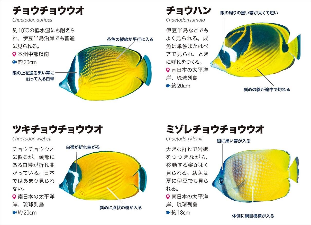 20260707_kurabetewakarukaisuigyo_02.jpg