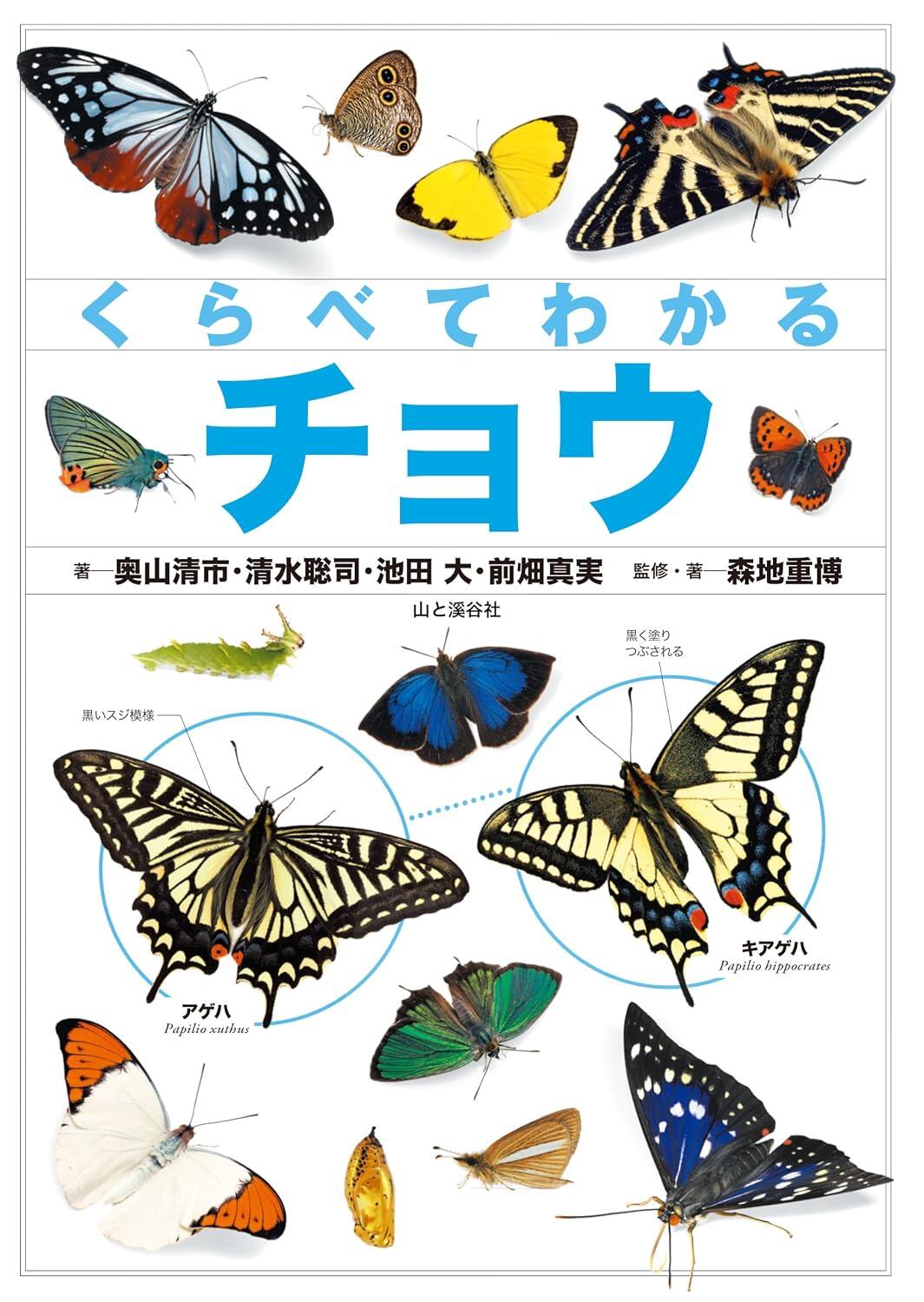 20260717_kurabetewakarucho_01.jpg
