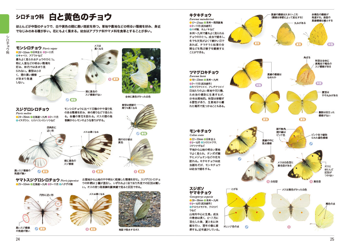 20260717_kurabetewakarucho_02.jpg