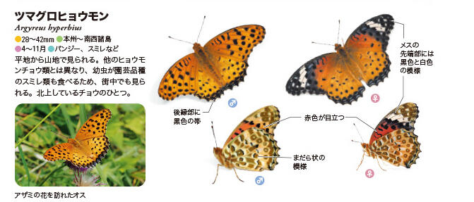 20260717_kurabetewakarucho_04.jpg