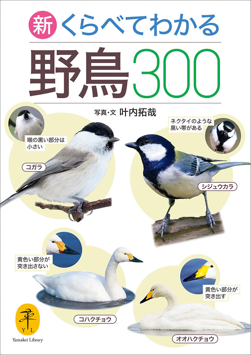 20260807_kurabetewakaruyacho_01.jpg