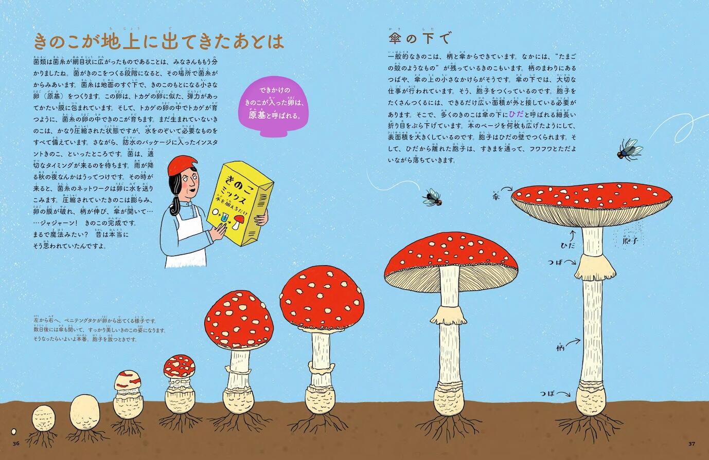 20261005_kinoko_04.jpg