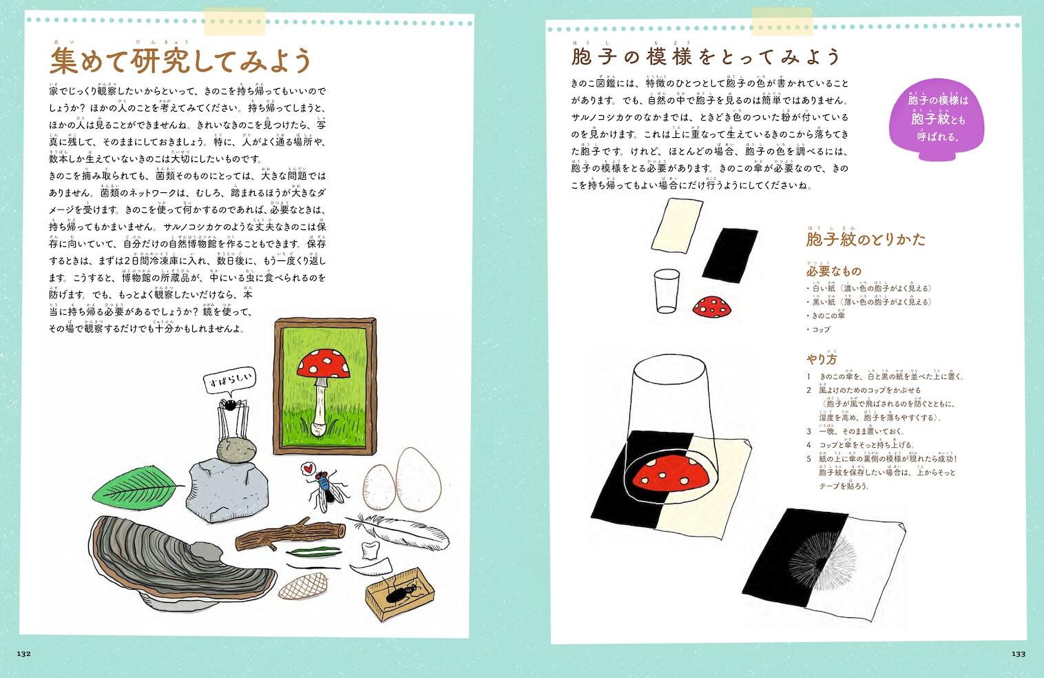 20261005_kinoko_06.jpg