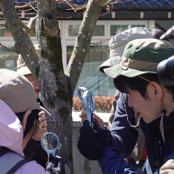 20261007_noichi_05.jpg