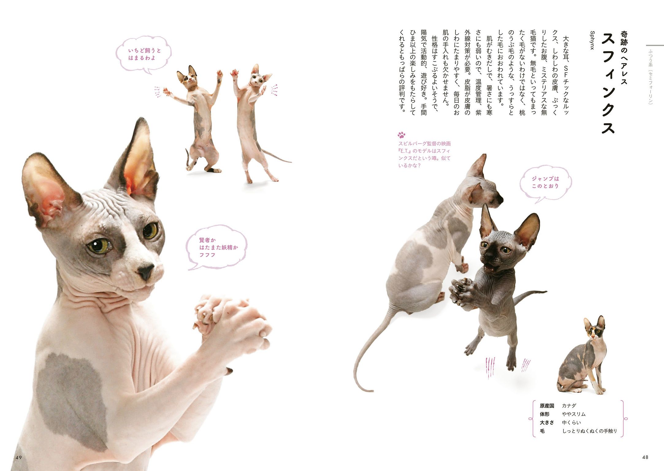 最高にかわいい ときめく 猫たちが大集合した新感覚の猫図鑑 ときめく猫図鑑 が猫の日の2月22日に発売 山と溪谷社 新着情報 山と溪谷社 最高にかわいい ときめく 猫たちが大集合した新感覚の猫図鑑 ときめく猫図鑑 が猫の日の2月22日に発売 山と溪谷社 新着情報 山と溪谷社
