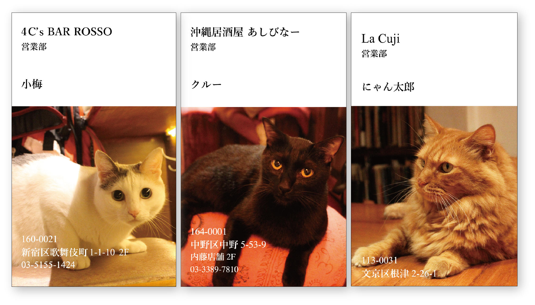 猫呑みできる名店で ねこ名刺 が貰える 書籍 猫と呑み助 東京 猫呑み のススメ 発売記念 全11種類を限定配布 山と溪谷社 新着情報 山と溪谷社 猫呑みできる名店で ねこ名刺 が貰える 書籍 猫と呑み助 東京 猫呑み のススメ 発売記念 全11種類を限定配布 山と溪谷社 新着情報 山と溪谷社