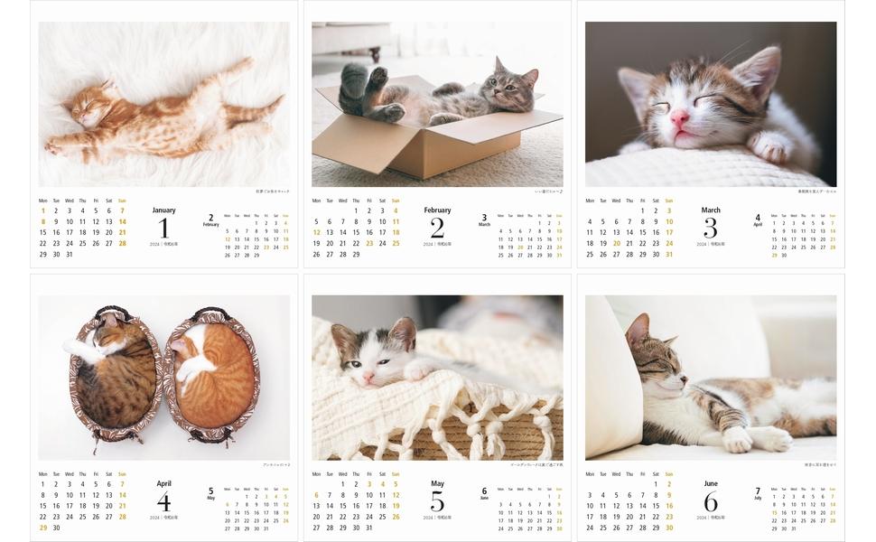 1-6月.jpg