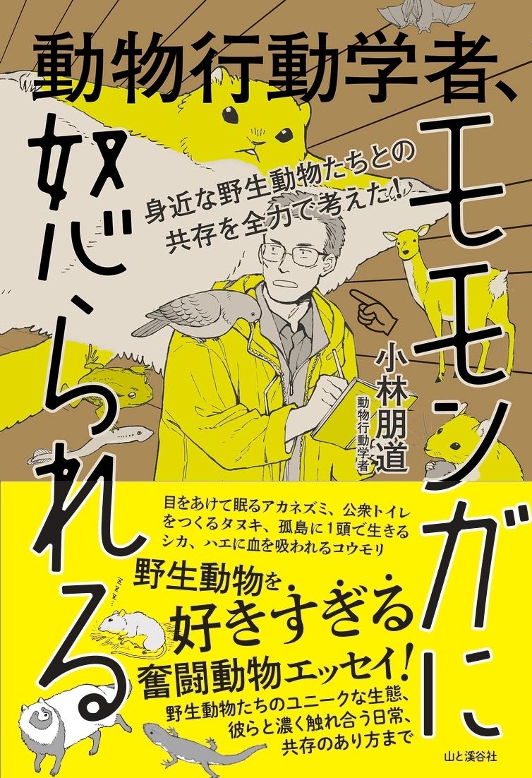 身近な動物のことを全力で考え続ける 野生動物を好きすぎる著者の奮闘動物エッセイ 動物行動学者 モモンガに怒られる 発刊 山と溪谷社 新着情報 山と溪谷社