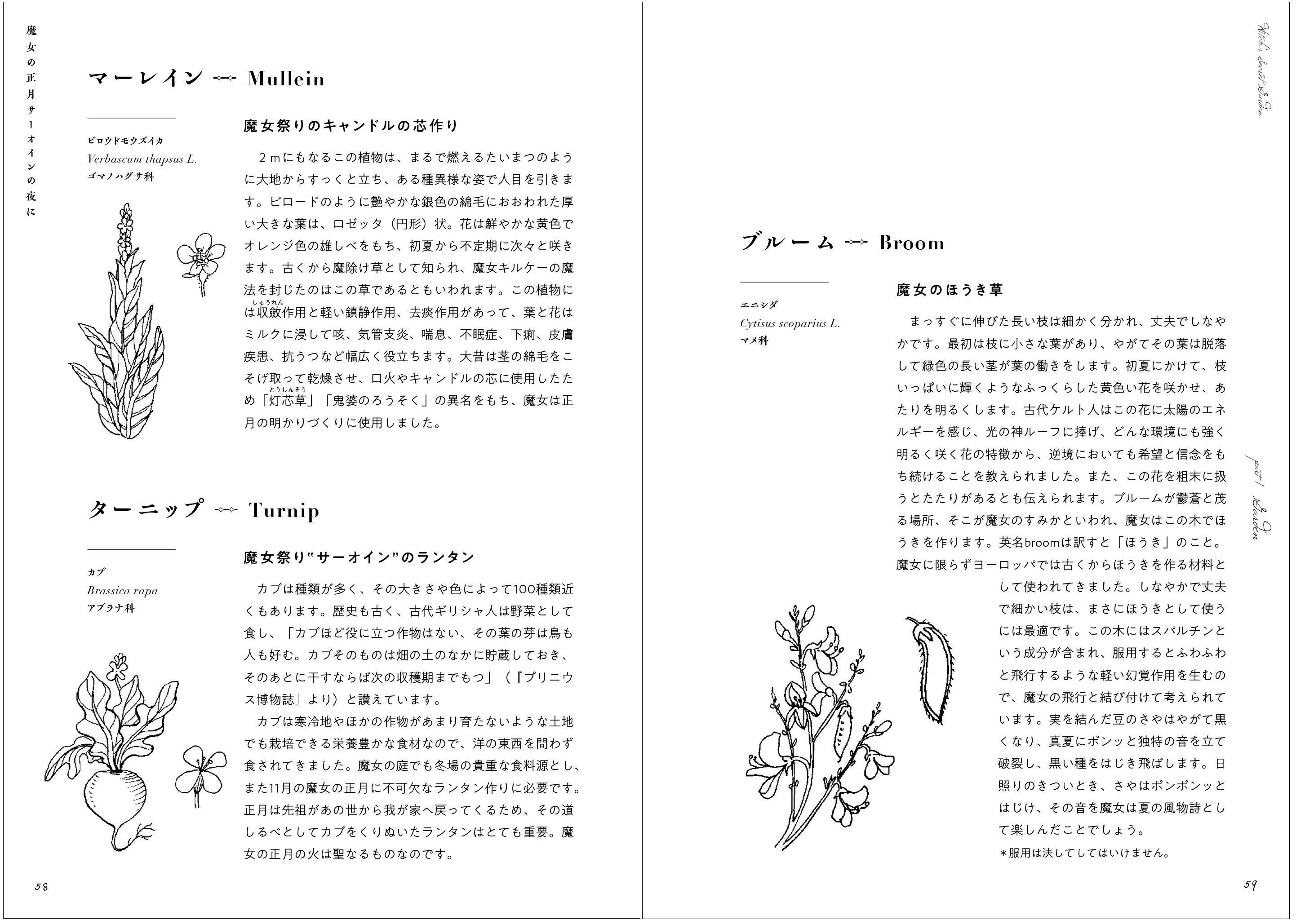 植物と薬草の知識に長けていた魔女がつくる植物図鑑 書籍 魔女のシークレット ガーデン 刊行 山と溪谷社 新着情報 山と溪谷社 植物と薬草の知識に長けていた魔女がつくる植物図鑑 書籍 魔女のシークレット ガーデン 刊行 山と溪谷社 新着情報 山と溪谷社