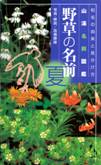 野草の名前　「夏」