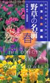 野草の名前　「春」
