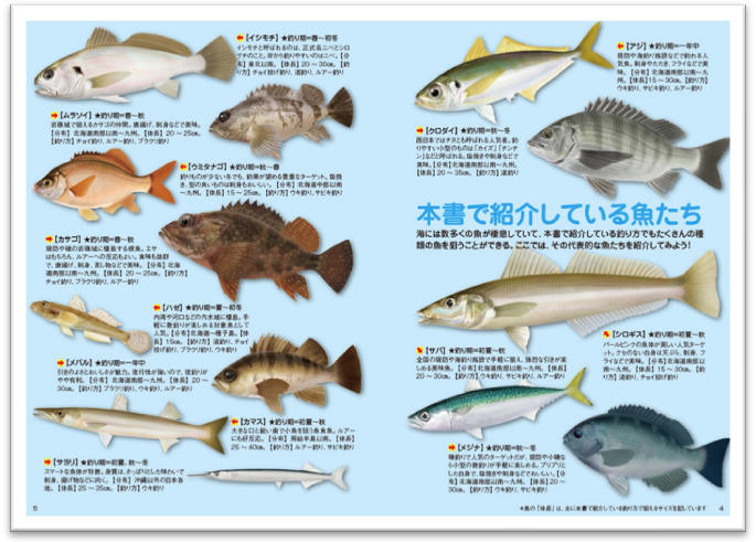 最高においしい魚たちを 最高に楽しく釣るための超入門書 世界一やさしい海釣り入門 刊行 山と溪谷社 新着情報 山と溪谷社